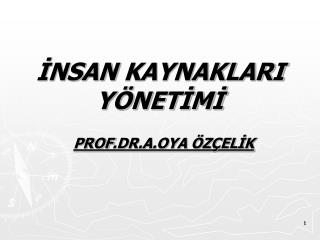 nsan kaynaklari y net m