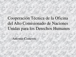 cooperaci n t cnica de la oficina del alto comisionado de naciones unidas para los derechos humanos