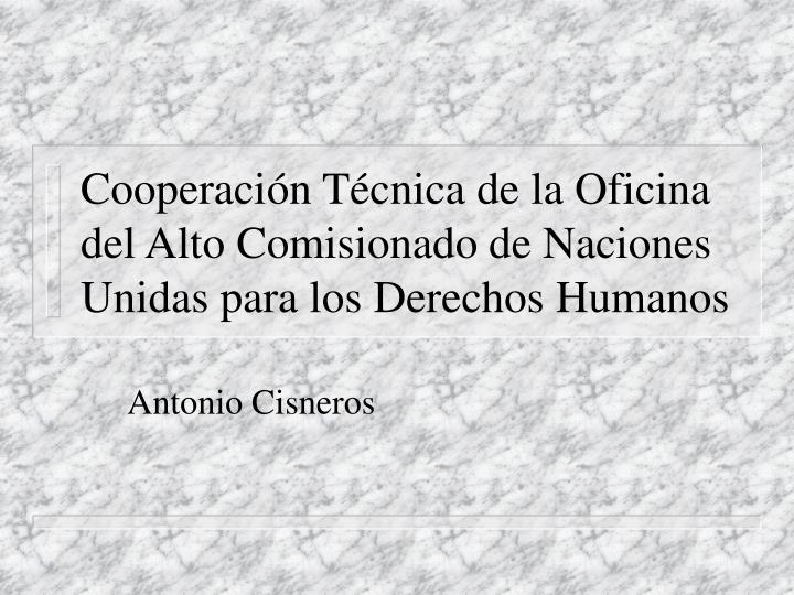 cooperaci n t cnica de la oficina del alto comisionado de naciones unidas para los derechos humanos