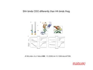 JS McLellan et al. Nature 000 , 1-5 (2008) doi:10.1038/nature07358