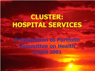 CLUSTER: HOSPITAL SERVICES Presentation to Portfolio Committee on Health 3 April 2001