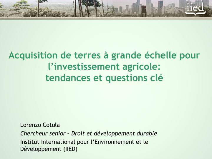 acquisition de terres grande chelle pour l investissement agricole tendances et questions cl