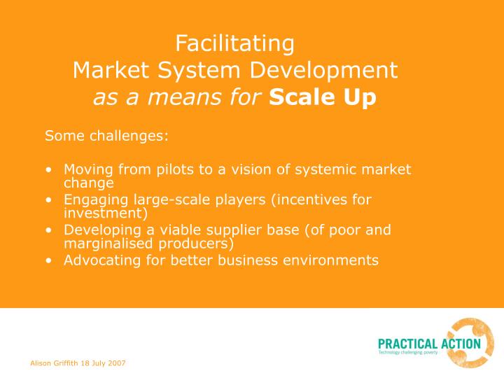 facilitating market system development as a means for scale up