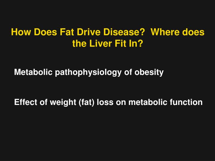 how does fat drive disease where does the liver fit in