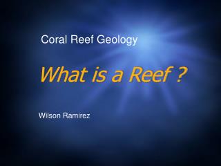 What is a Reef ?