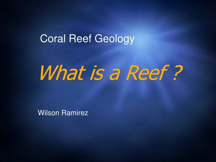 what is a reef