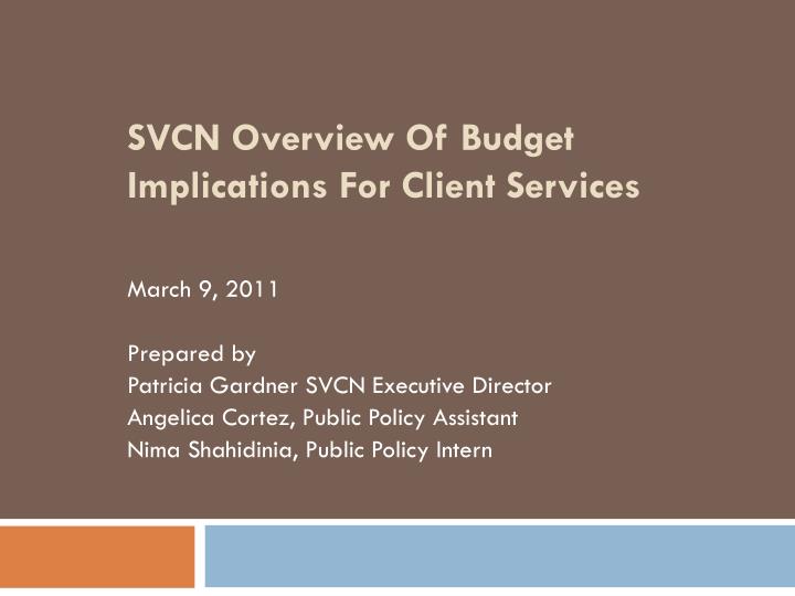 svcn overview of budget implications for client services