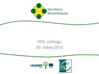 hol volikogu 20 m rts 2013