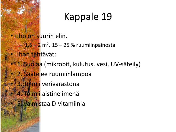 kappale 19