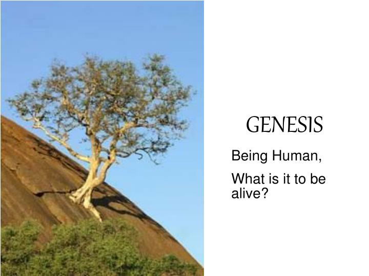 genesis