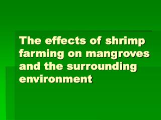 The effects of shrimp farming on mangroves and the surrounding environment