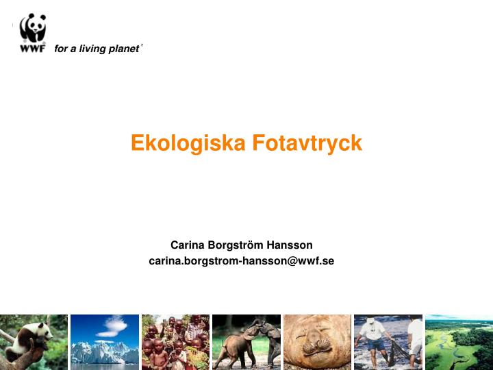 ekologiska fotavtryck