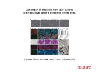 S Sekiya &amp; A Suzuki Nature 000 , 1-4 (2011) doi:10.1038/nature10263