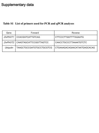 Table S1 List of primers used for PCR and qPCR analyses