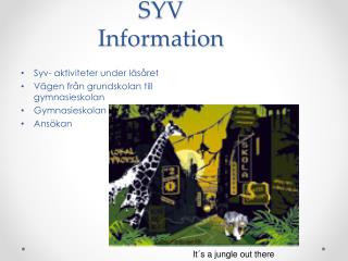 syv information