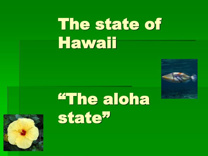 the state of hawaii the aloha state