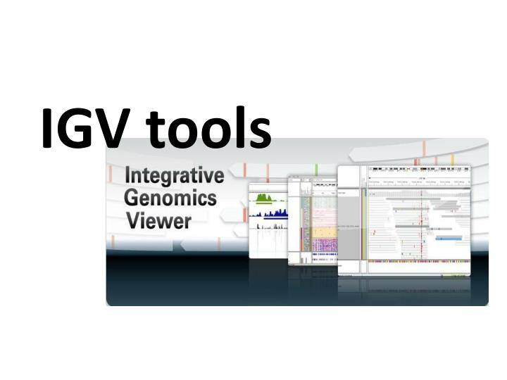 igv tools