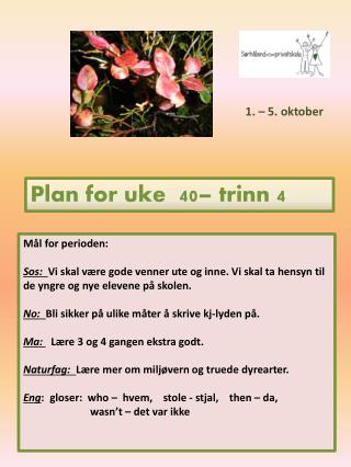 plan for uke 40 trinn 4