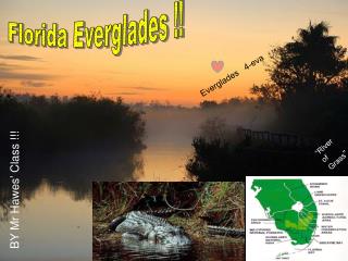 Florida Everglades !!