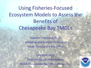 Using Fisheries-Focused Ecosystem Models to Assess the Benefits of Chesapeake Bay TMDLs