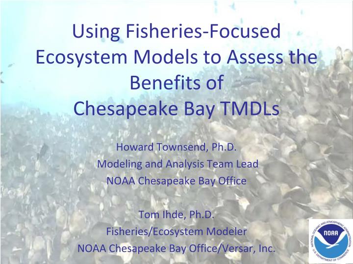 using fisheries focused ecosystem models to assess the benefits of chesapeake bay tmdls