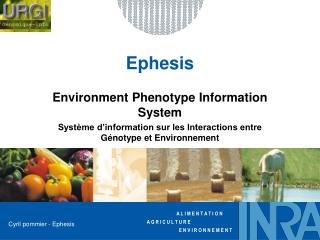 ephesis