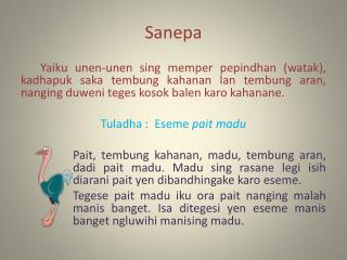 sanepa