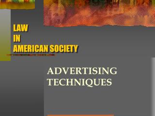 LAW IN AMERICAN SOCIETY