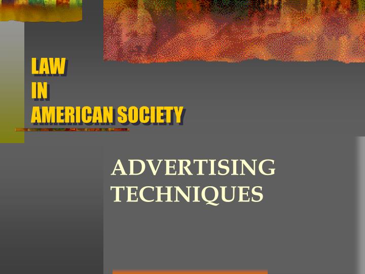 law in american society