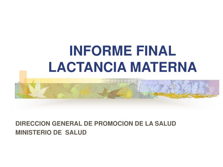 informe final lactancia materna