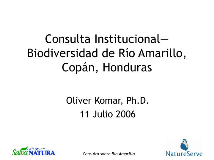 consulta institucional biodiversidad de r o amarillo cop n honduras