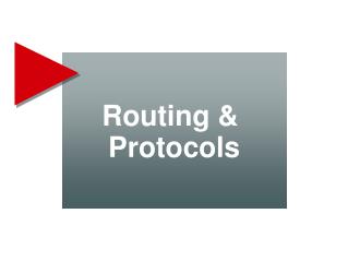 Routing &amp; Protocols