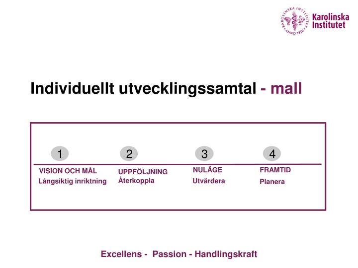 individuellt utvecklingssamtal mall