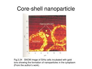 Core-shell nanoparticle