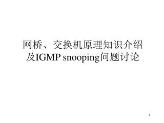 igmp snooping