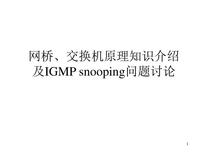 igmp snooping