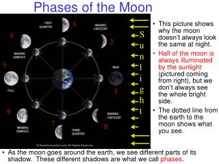 phases of the moon
