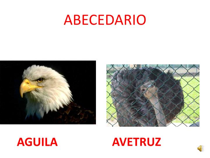 abecedario