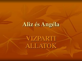 aliz s ang la