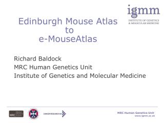 Edinburgh Mouse Atlas to e-MouseAtlas