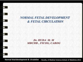 NORMAL FETAL DEVELOPMENT &amp; FETAL CIRCULATION