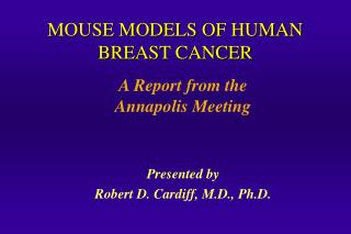 MOUSE MODELS OF HUMAN BREAST CANCER
