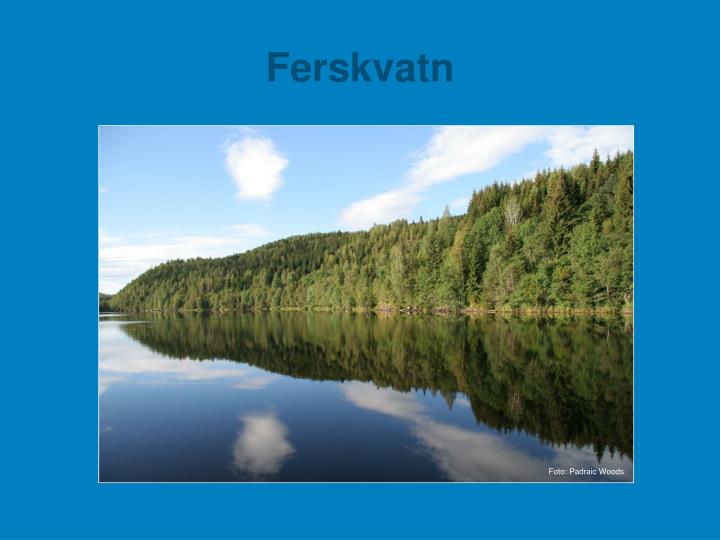 ferskvatn