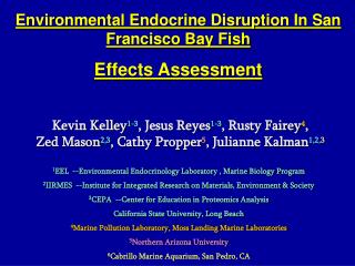 Environmental Endocrine Disruption In San Francisco Bay Fish Effects Assessment