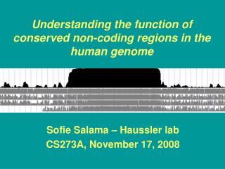 Understanding the function of conserved non-coding regions in the human genome