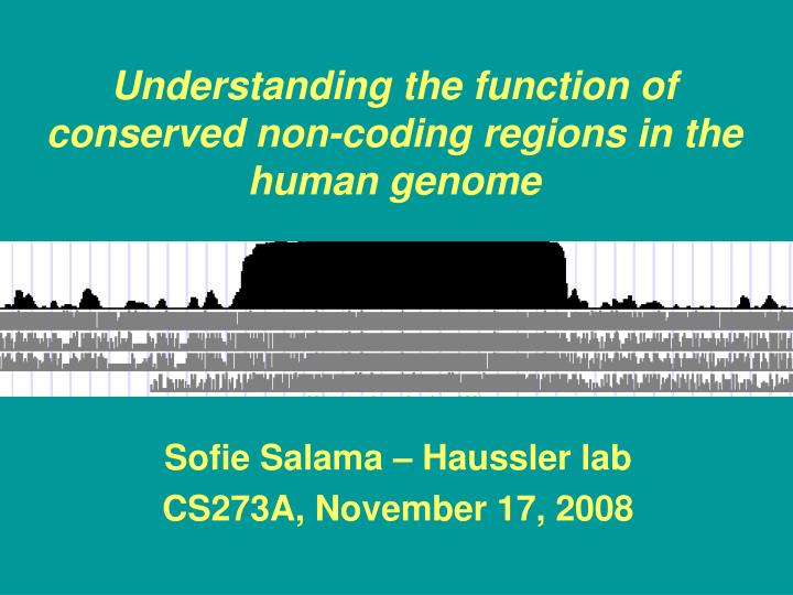 understanding the function of conserved non coding regions in the human genome