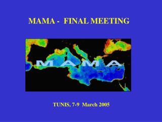 MAMA - FINAL MEETING