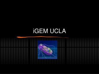 iGEM UCLA
