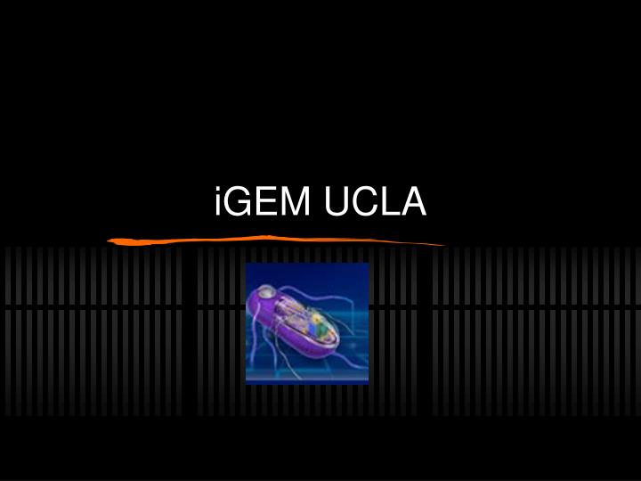 igem ucla