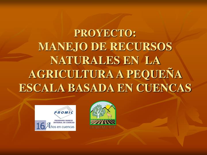 proyecto manejo de recursos naturales en la agricultura a peque a escala basada en cuencas
